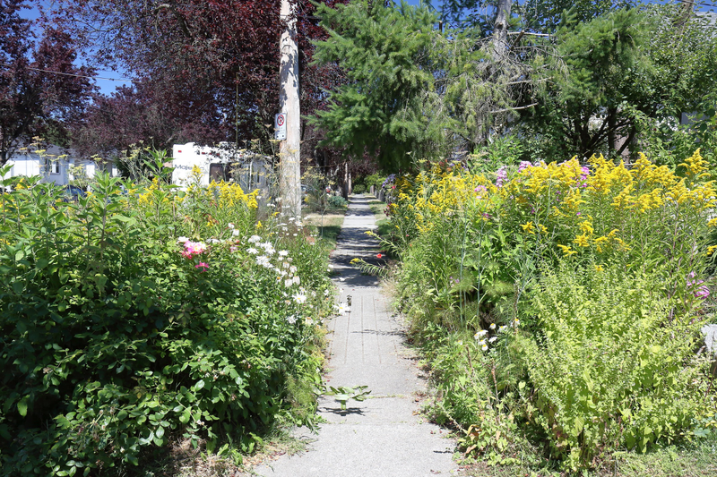 Lawns on the curb side are overrated!